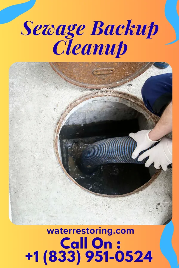 Sewage Backup Cleanup in Lorenzo, IL